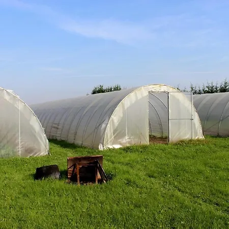 Agriturismo Cascina Argentera Farm stay Caselle Torinese