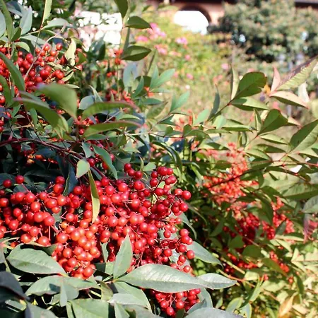 Agriturismo Cascina Argentera